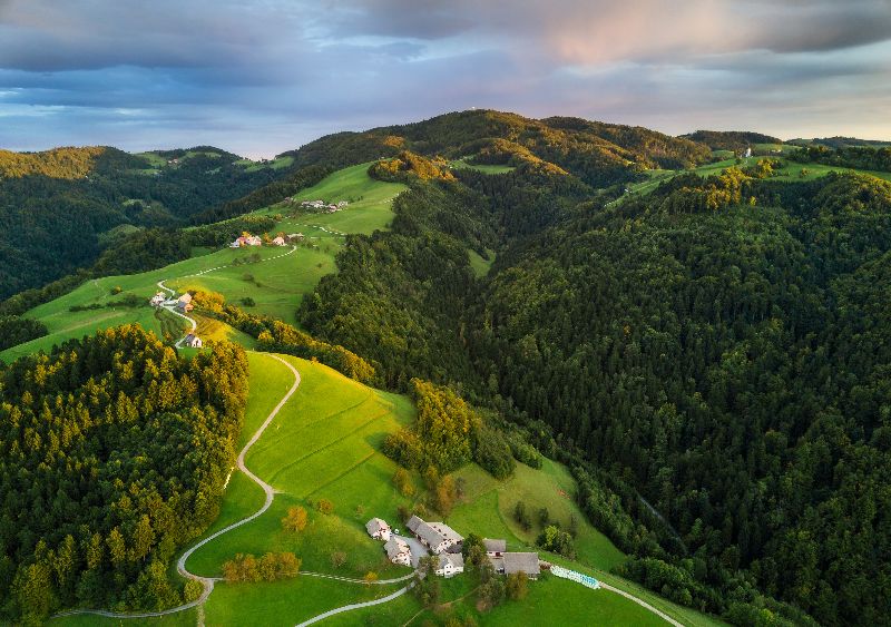 The Slovenian forests.