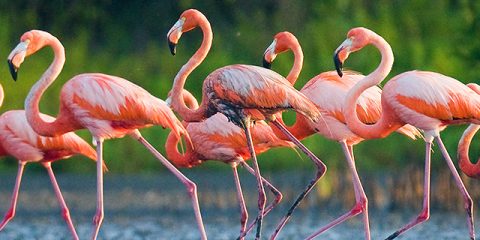 The 10 best zoos in France