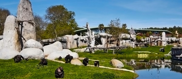 Zoo de La Palmyre in the south west of France