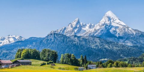 Bobo’s holiday in Bavaria