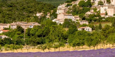 The flavours of sunny Provence