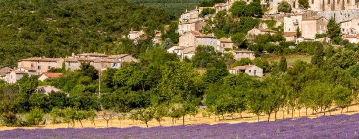 The flavours of sunny Provence