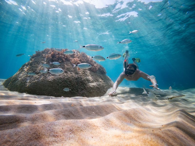 Diving near Sardinië